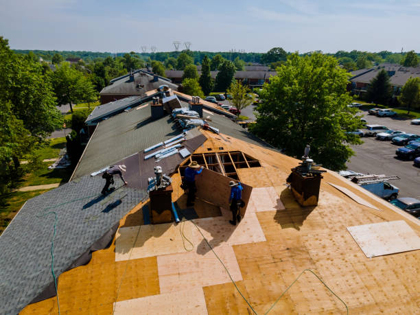 Roof Installation Near Me in Holly, MI