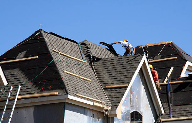 Best Residential Roofing Contractor  in Holly, MI