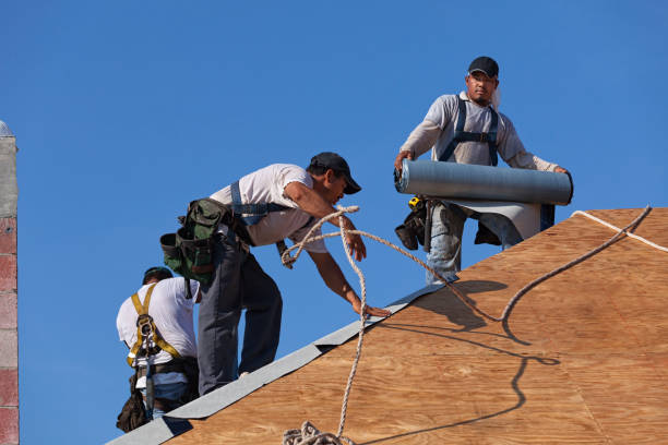 Best Commercial Roofing Services  in Holly, MI