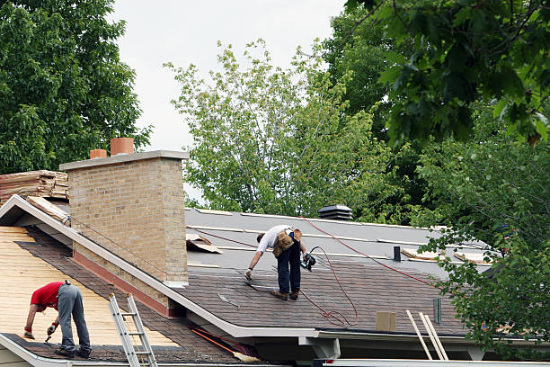 Best Roof Waterproofing Services  in Holly, MI