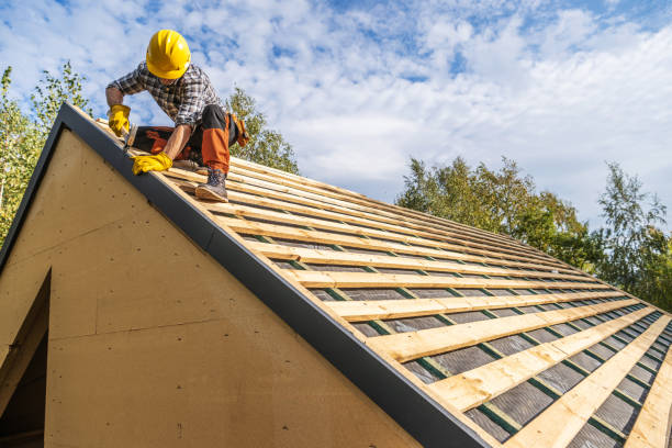 Best Local Roofing Companies  in Holly, MI