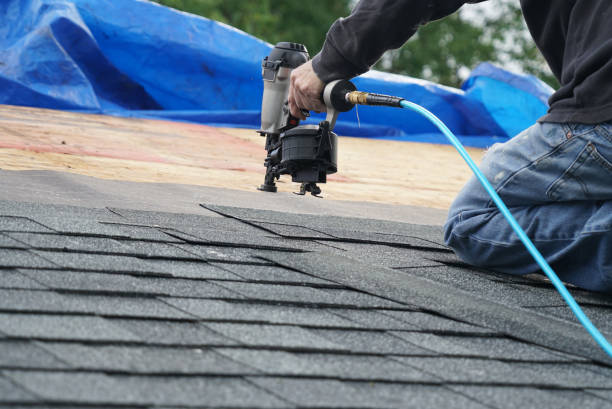 Best Metal Roofing Contractor  in Holly, MI