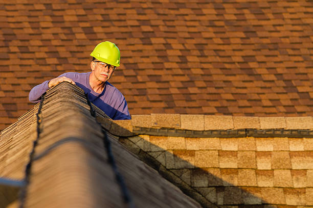Professional Roofing Contractor in Holly, MI