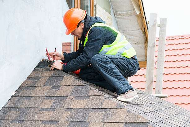 Best Roof Repair Services  in Holly, MI