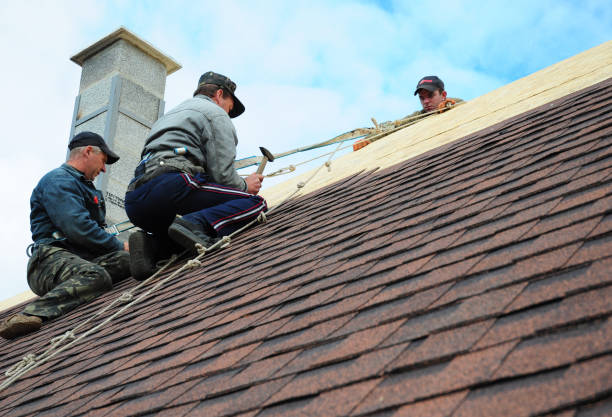 Best Best Roofing Contractors  in Holly, MI