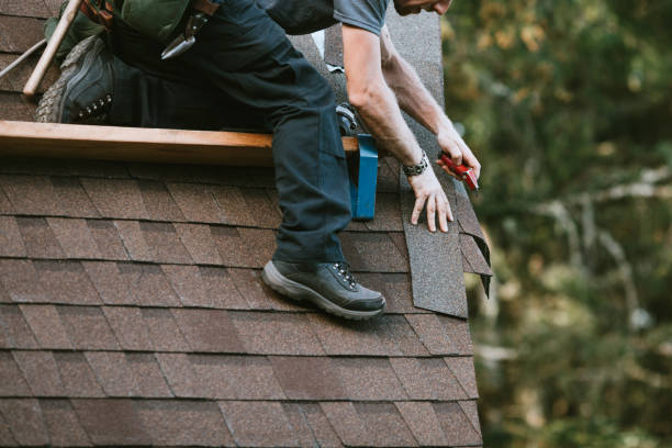 Best Emergency Roof Repair  in Holly, MI